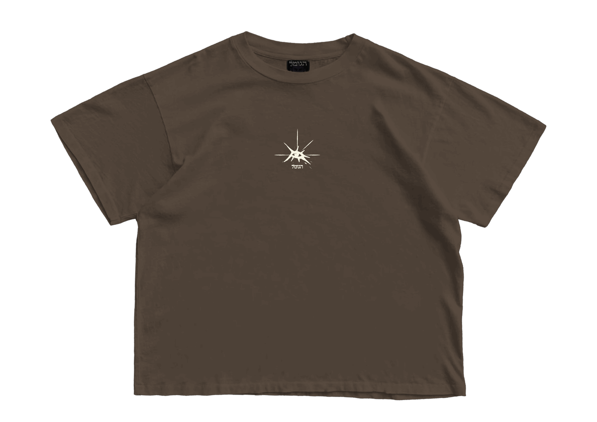 ZIPPO OVERSIZED T-SHIRT - WASHED BROWN