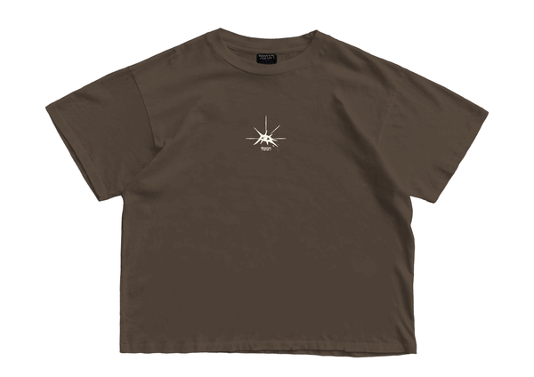 ZIPPO OVERSIZED T-SHIRT - WASHED BROWN